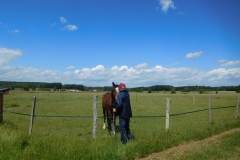 DSCN0824